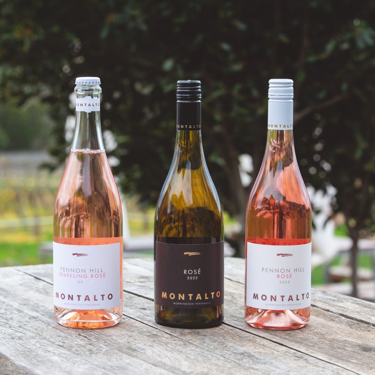 New Release Rosé Wines – perfect timing for spring!