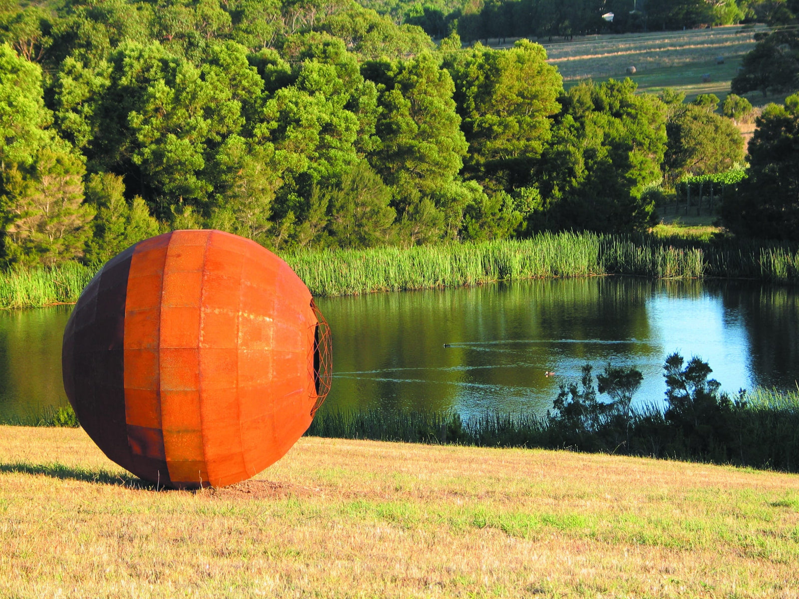 Montalto unfolds out of hibernation