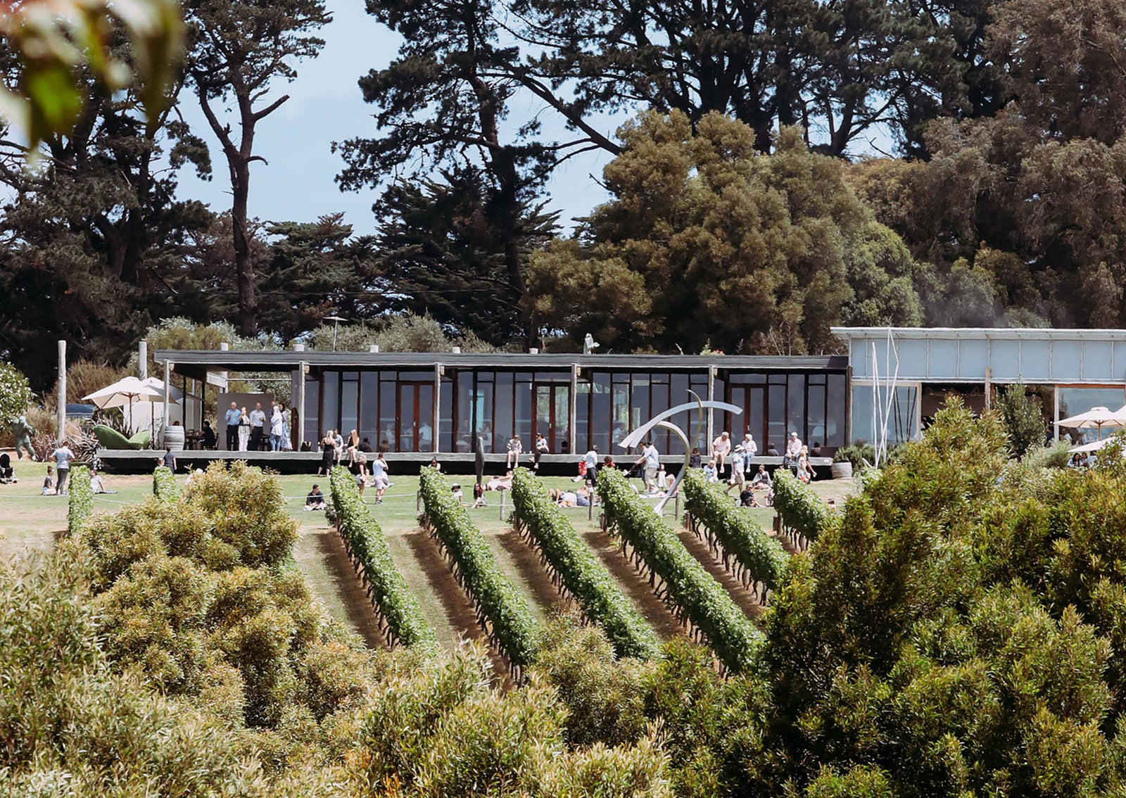 Australia’s Best Cellar Door Awards - Gourmet Traveller WINE 2020
