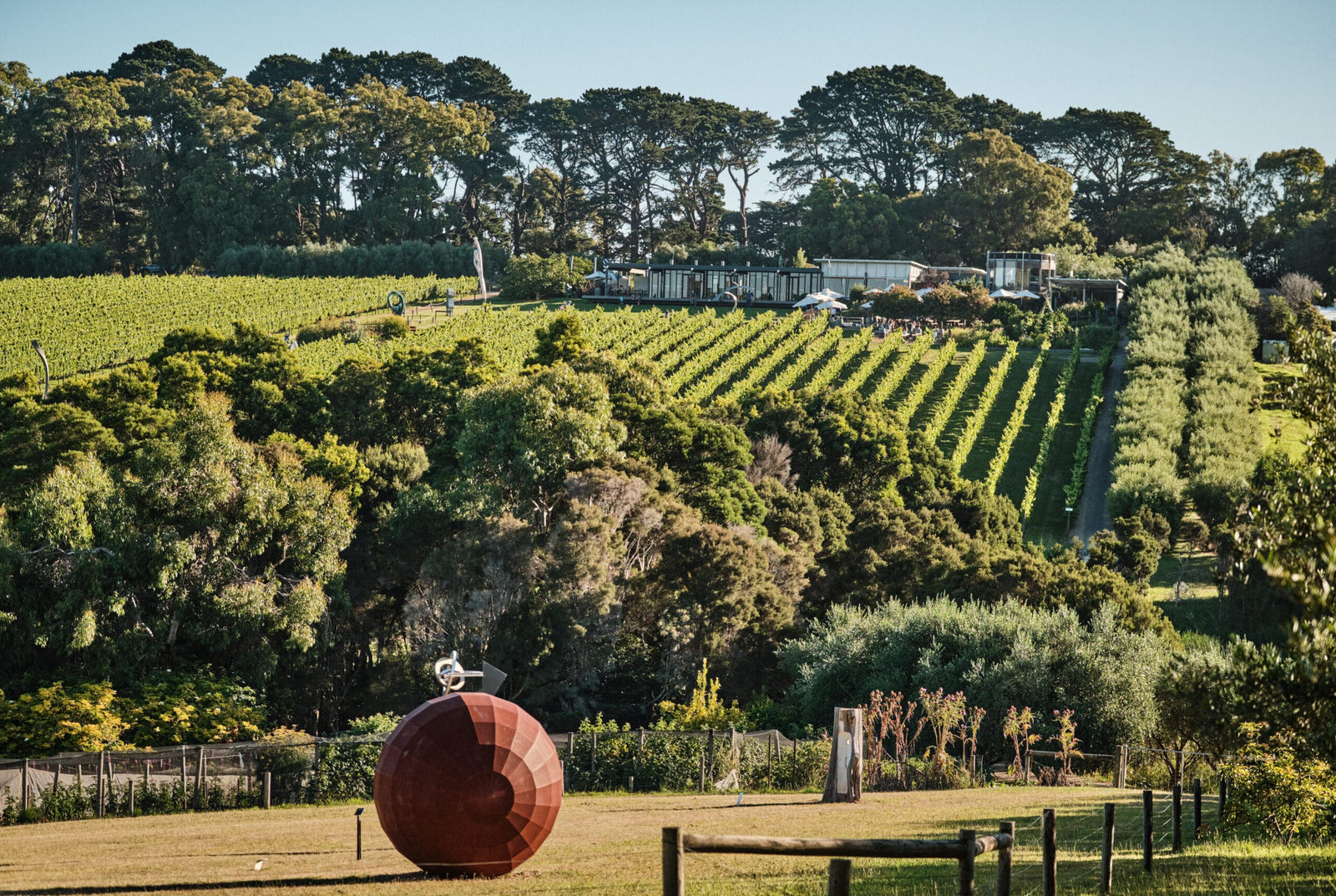 Christmas by Montalto