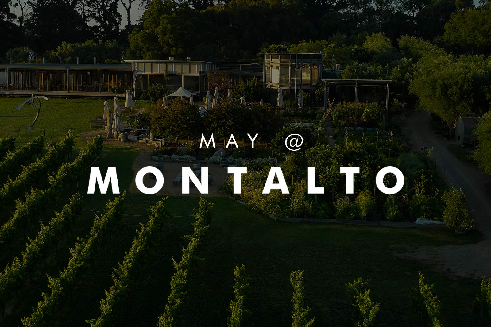 MAY AT MONTALTO