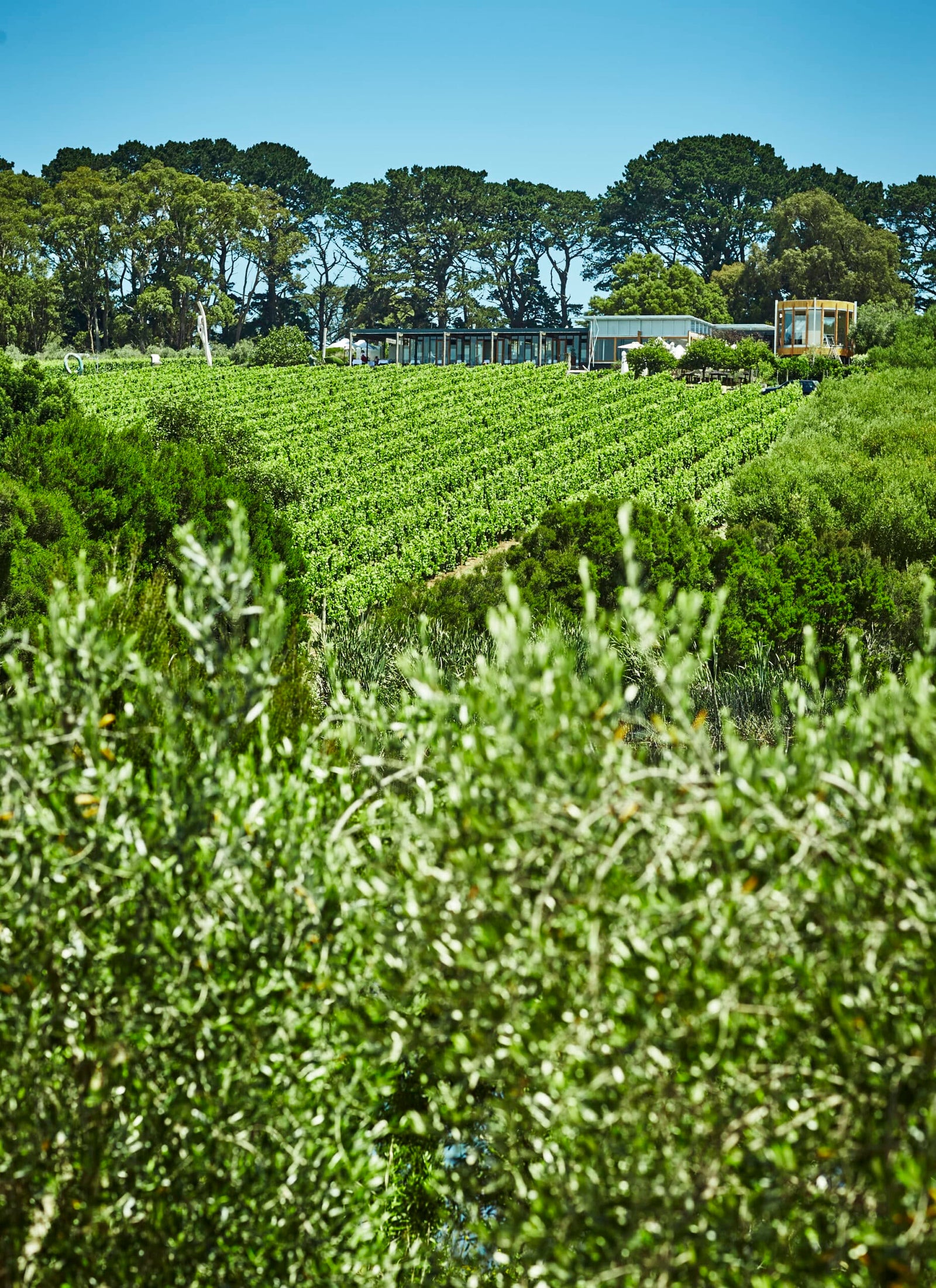 Montalto Sculpture Prize 2021