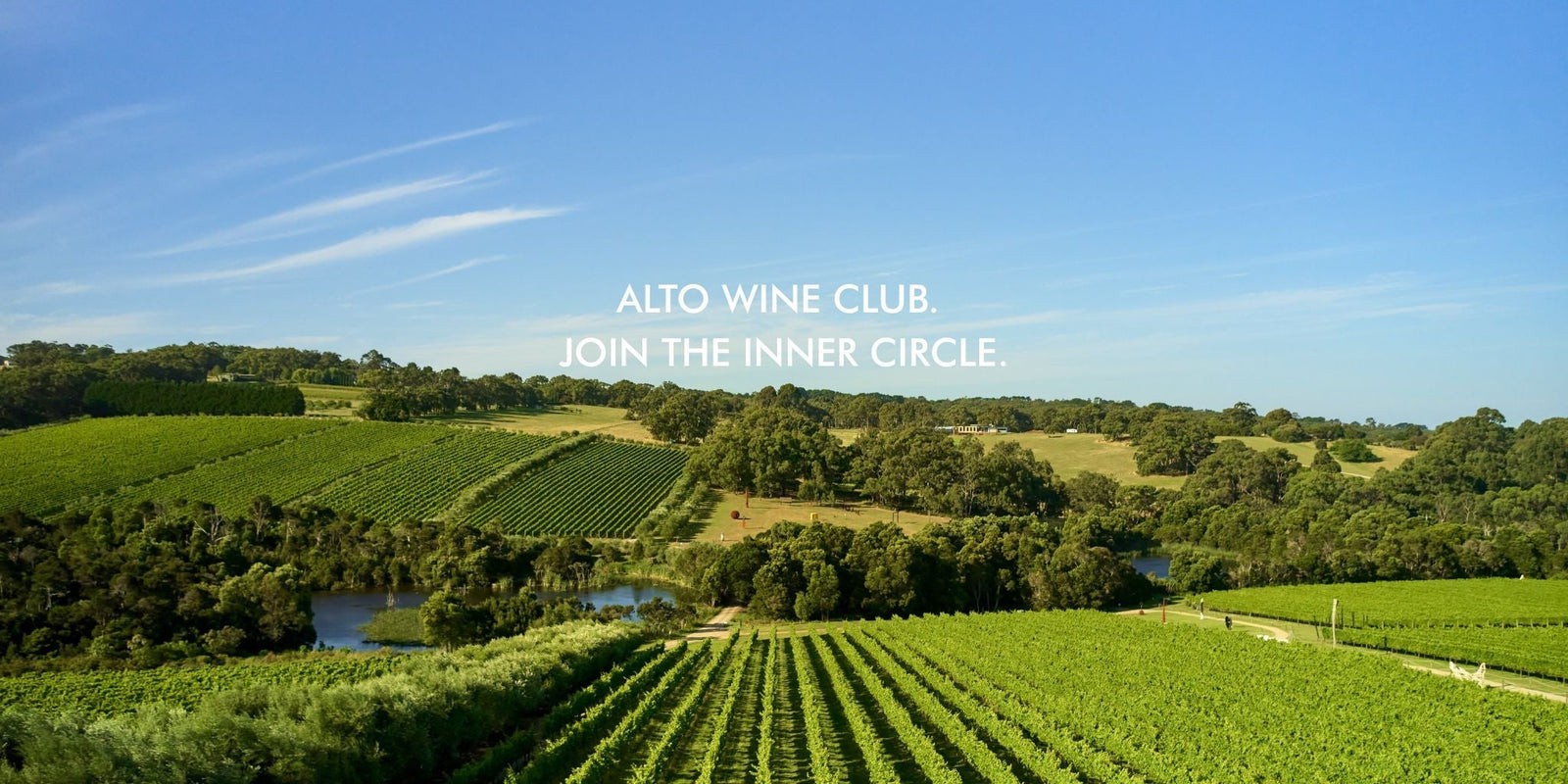 WHY WE CREATED ALTO WINE CLUB: A WINEMAKER’S PERSPECTIVE