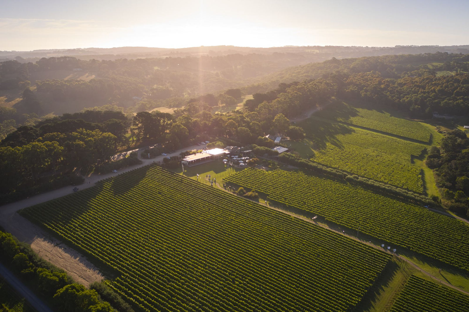 Celebrate Christmas With Montalto's Wine And Pantry Gift Packs