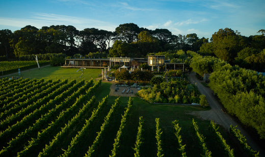 Top Gift Ideas for Food and Wine Lovers: Montalto Christmas Bundles and Gift Vouchers