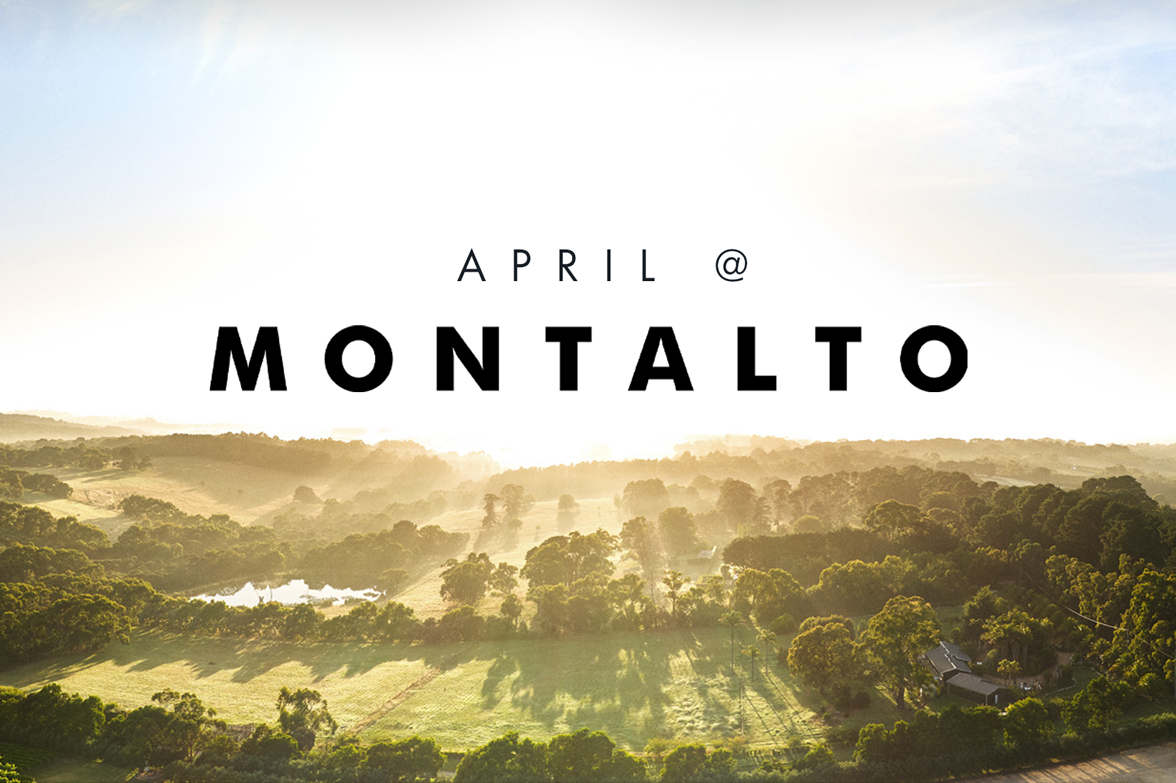 APRIL AT MONTALTO 2024