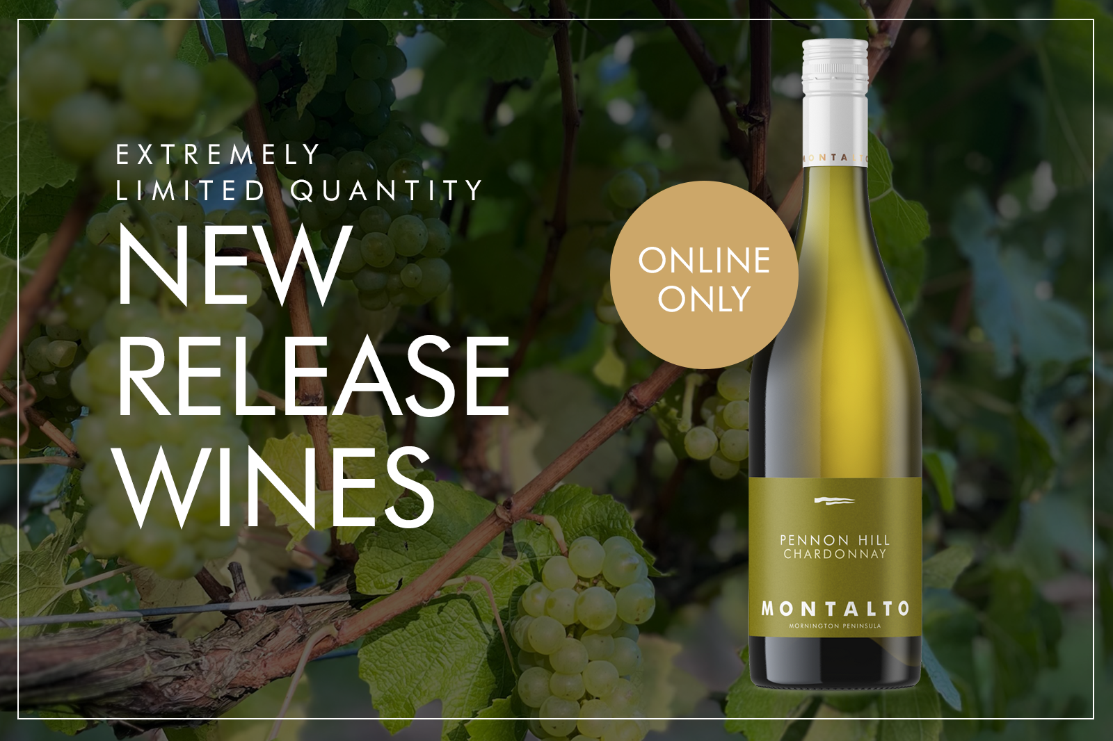 ONLINE EXCLUSIVE - 2023 PENNON HILL CHARDONNAY