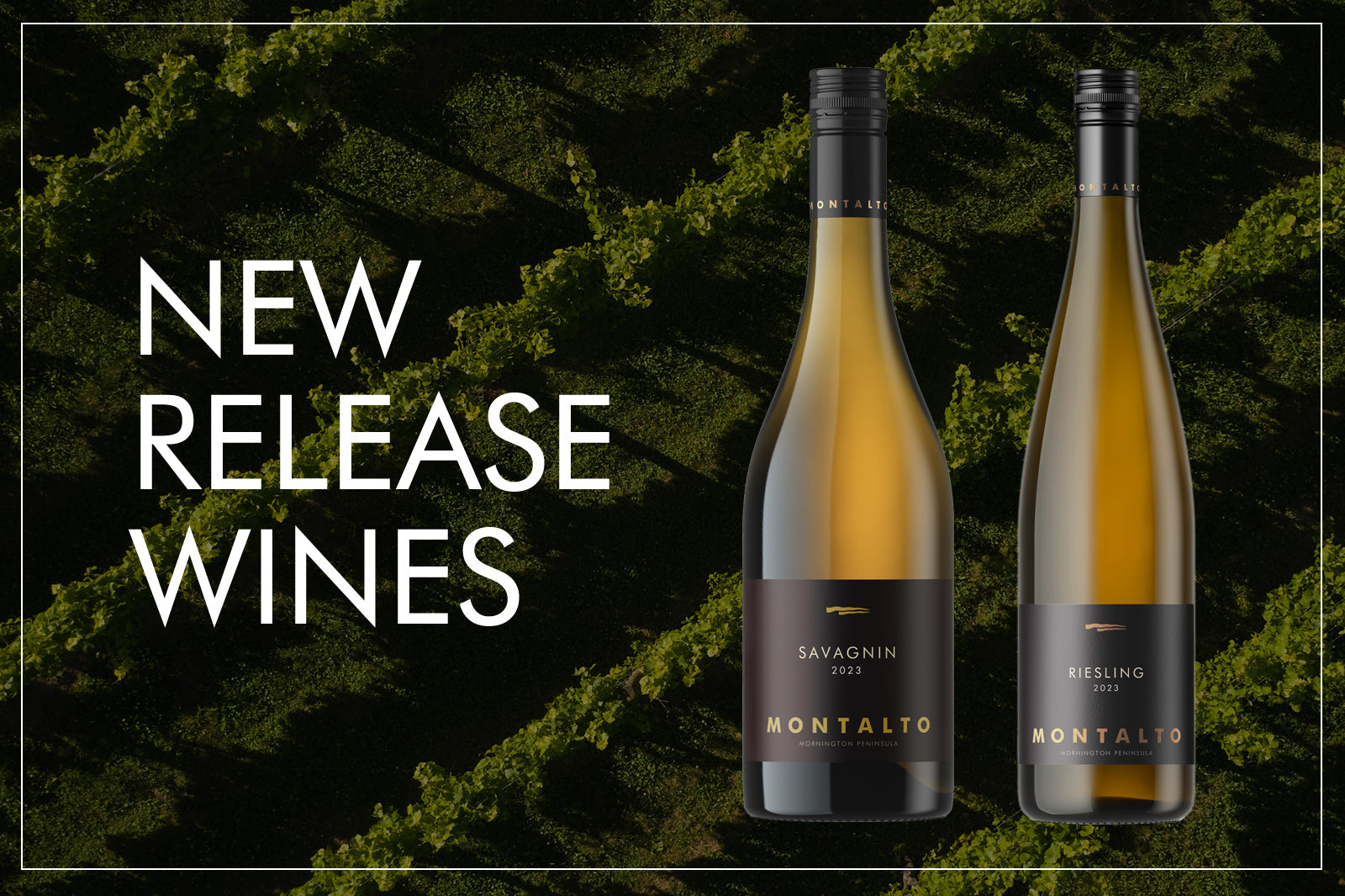 NEW RELEASE WINES: RIESLING & SAVAGNIN