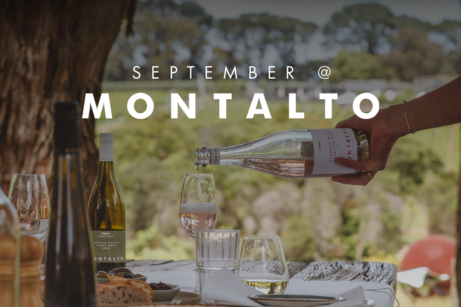 SEPTEMBER AT MONTALTO 2025
