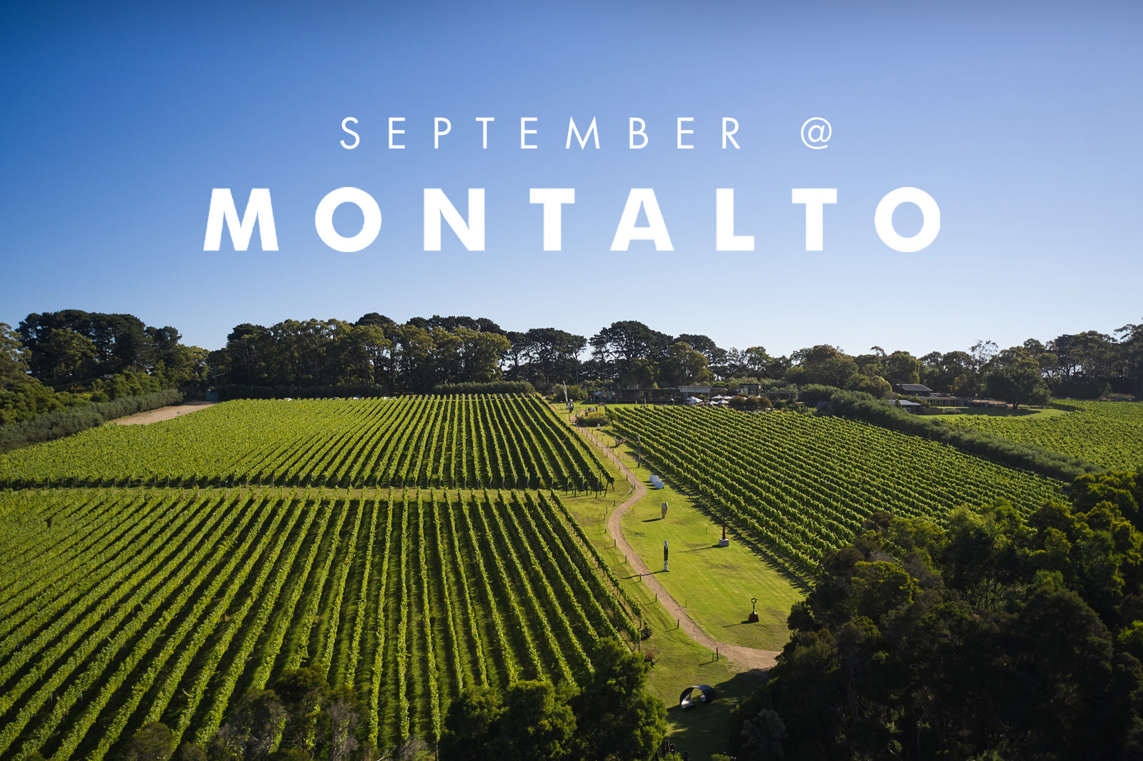 SEPTEMBER AT MONTALTO 2024