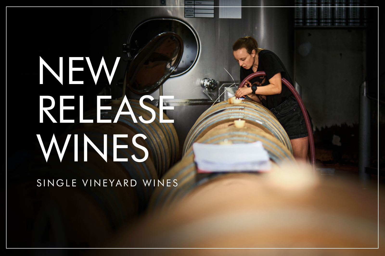 NEW RELEASE WINES: 2023 SINGLE VINEYARDS