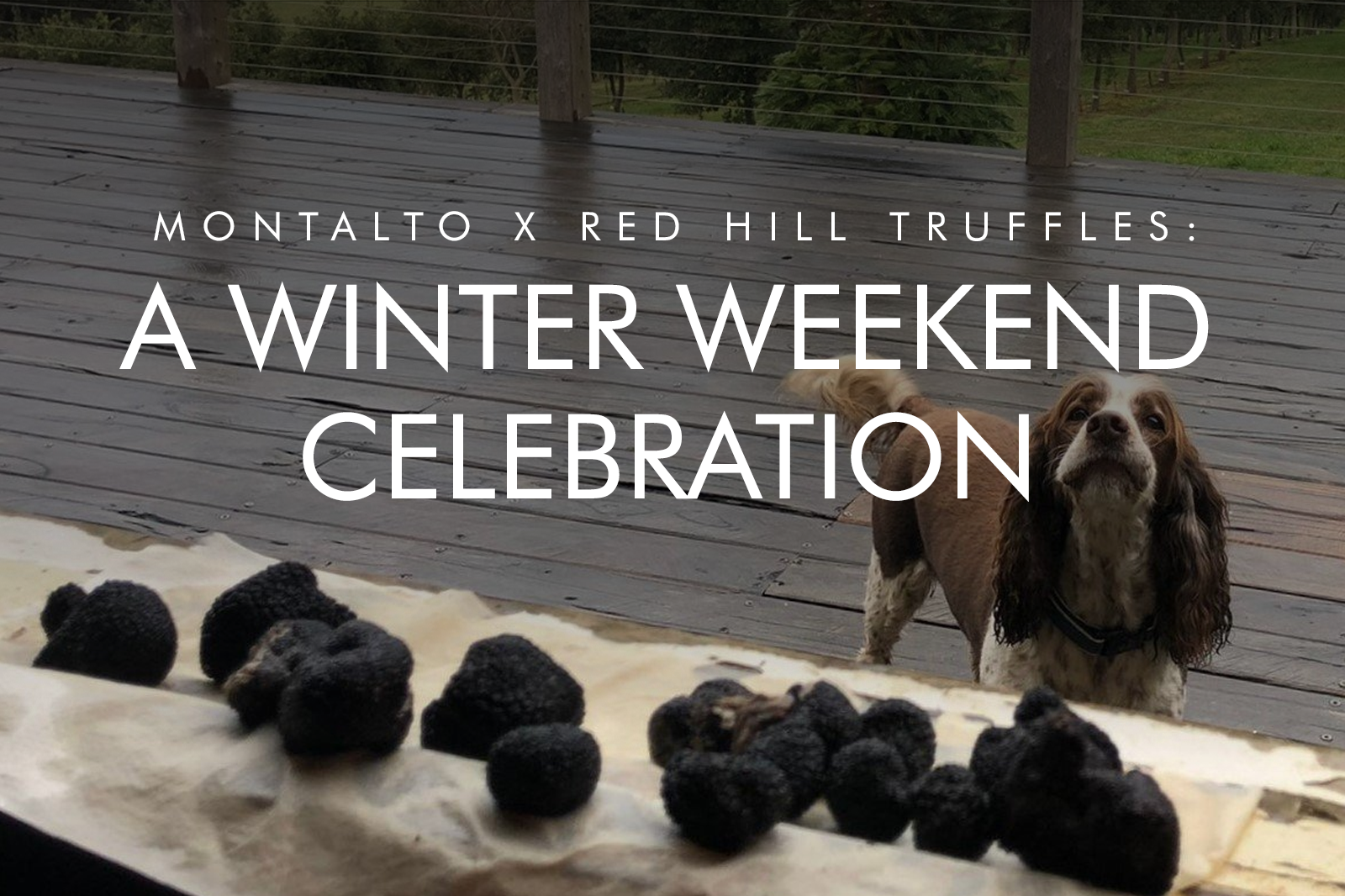 Winter Event Series | Montalto x Red Hill Truffles