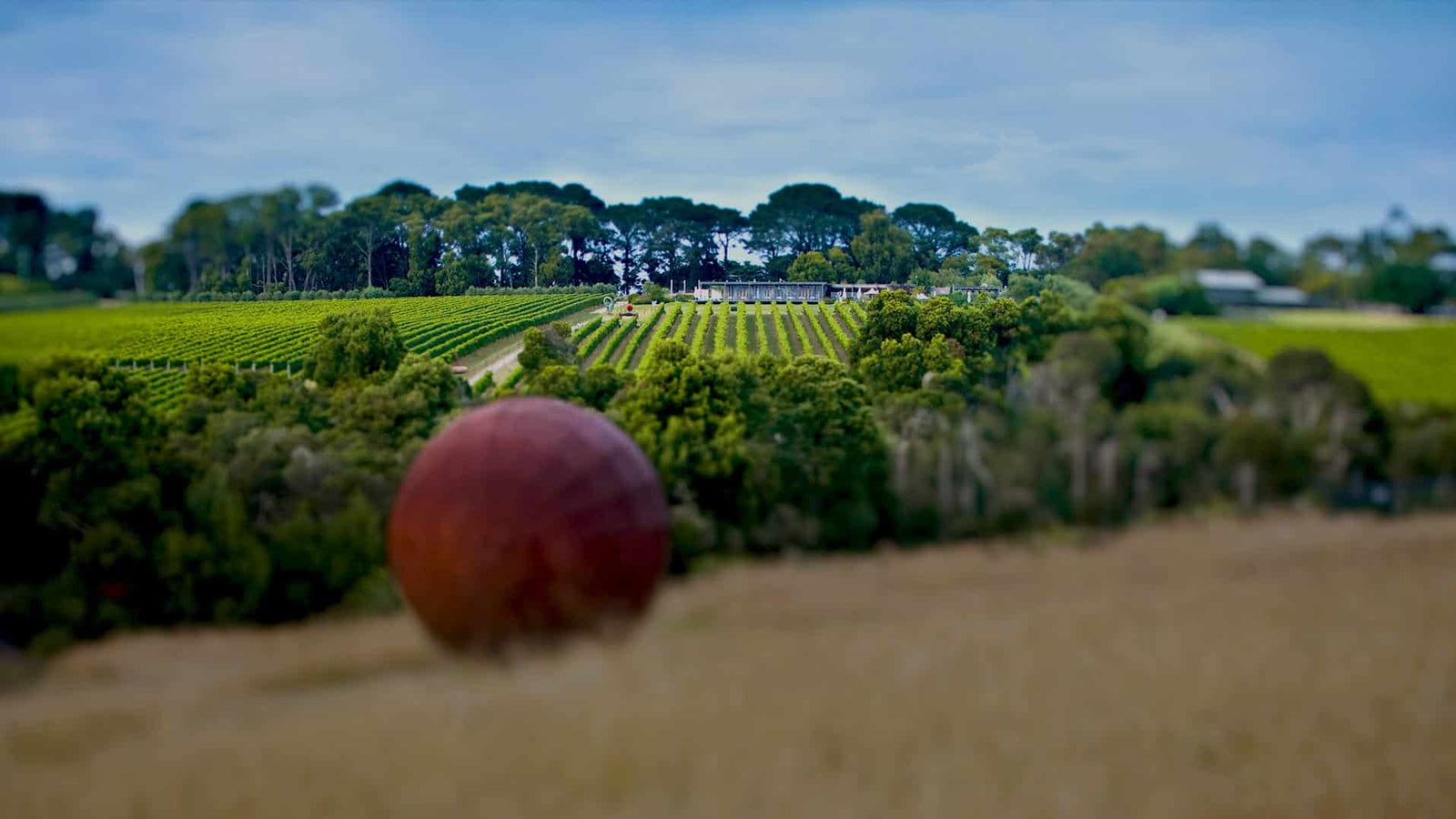 Join the Montalto team - Marketing Manager