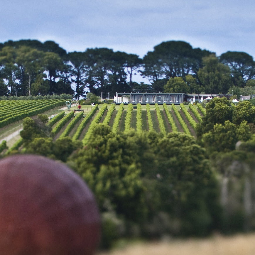 Montalto Sculpture Prize 2020 - entries now open