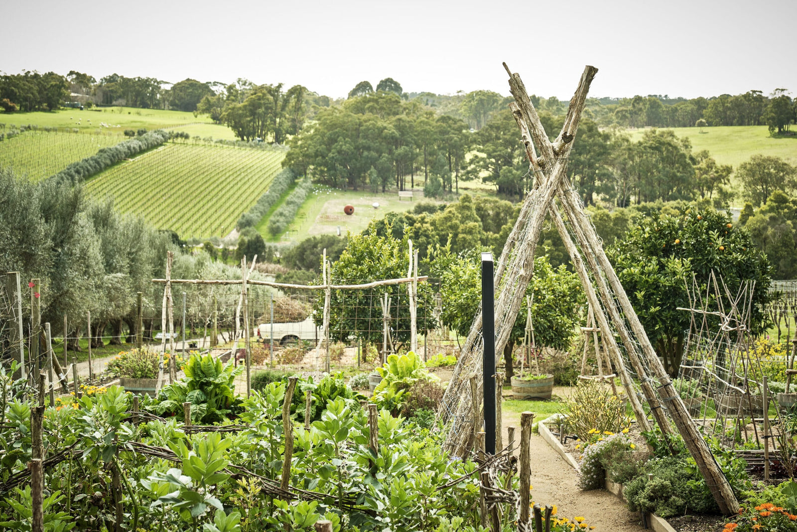 Australia’s Best Cellar Door Awards - Gourmet Traveller WINE