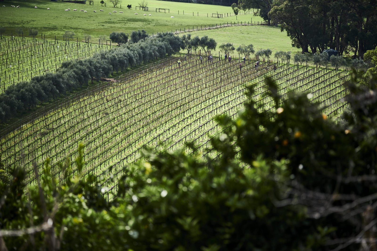 The value of wine critics