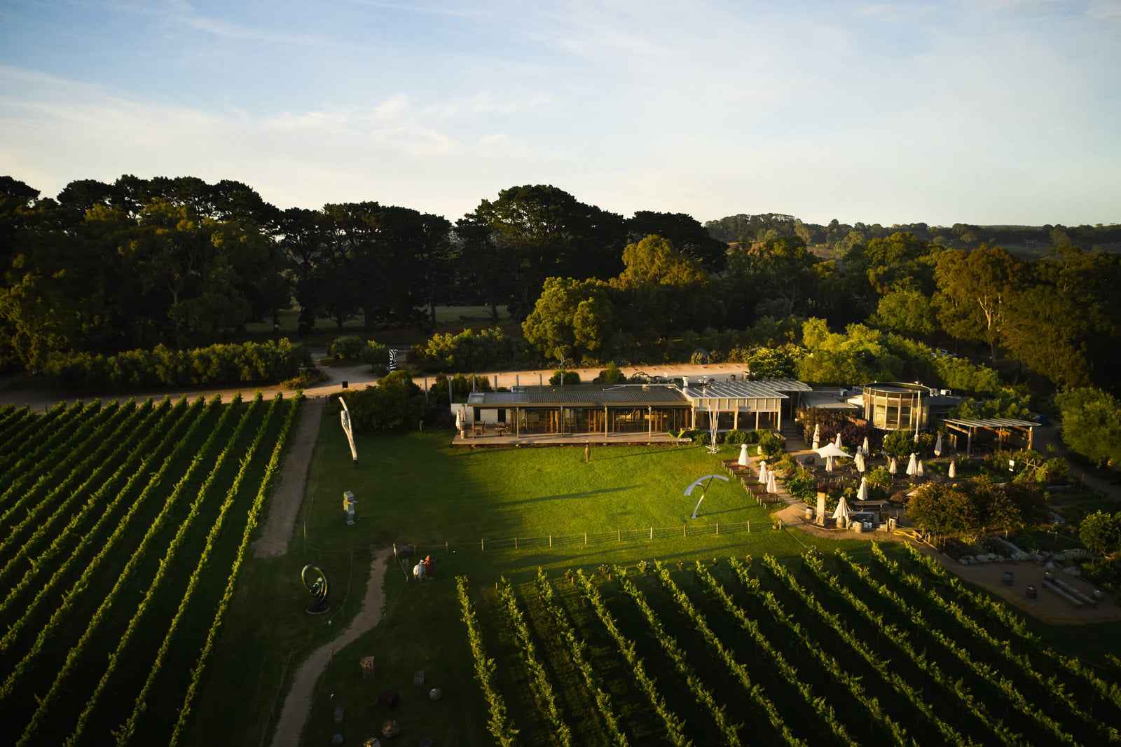 Latest News: 5 Of The Best Mornington Peninsula Wineries