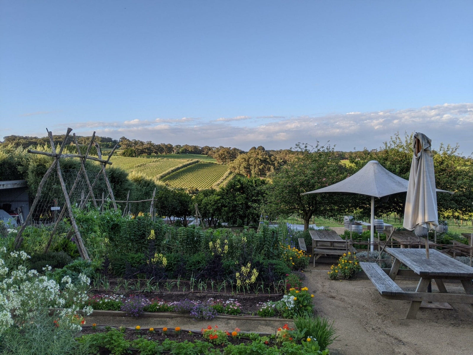 Twilight - Summer 2021