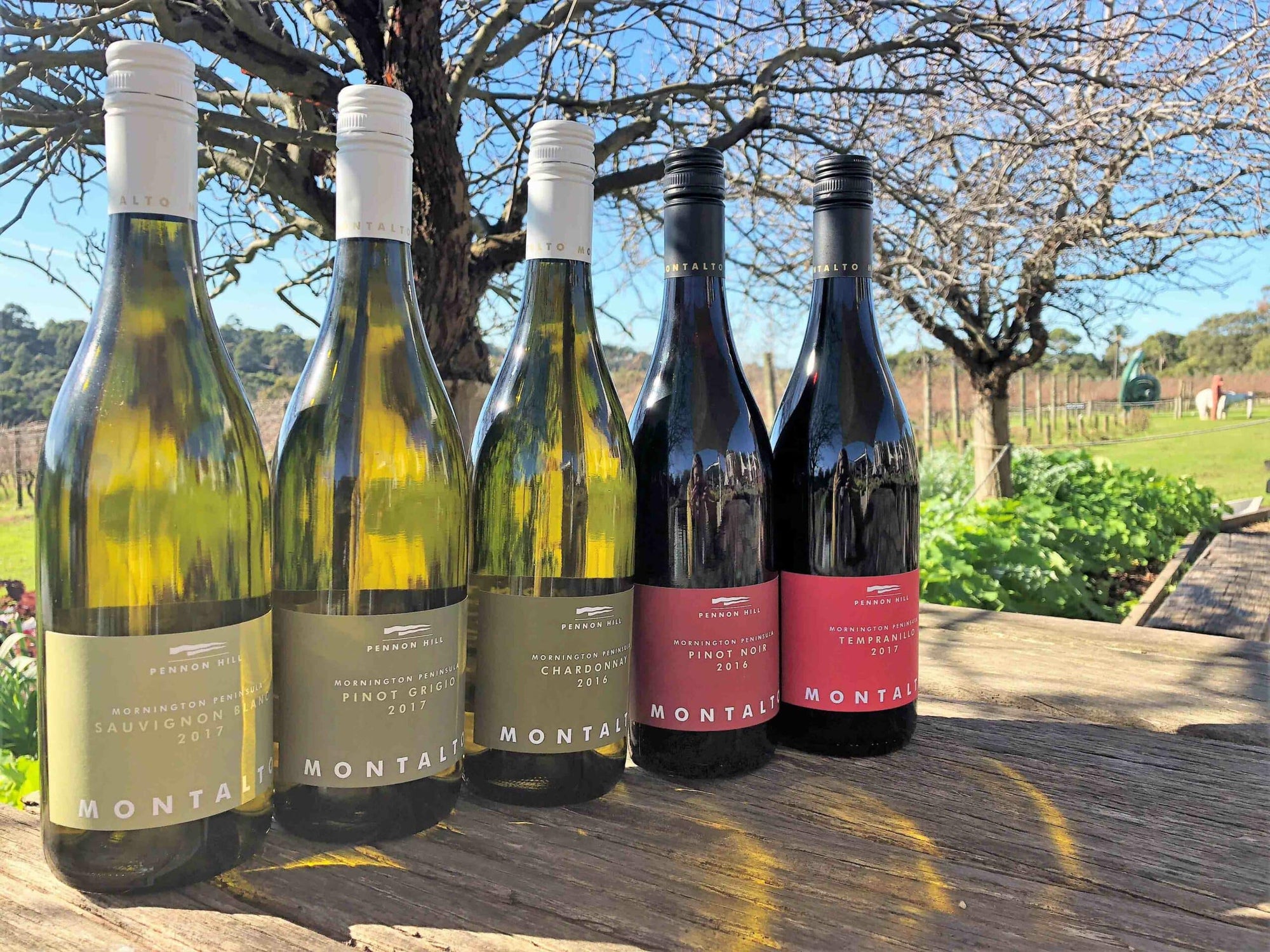 The 10 Best-Selling Montalto Wines in 2018