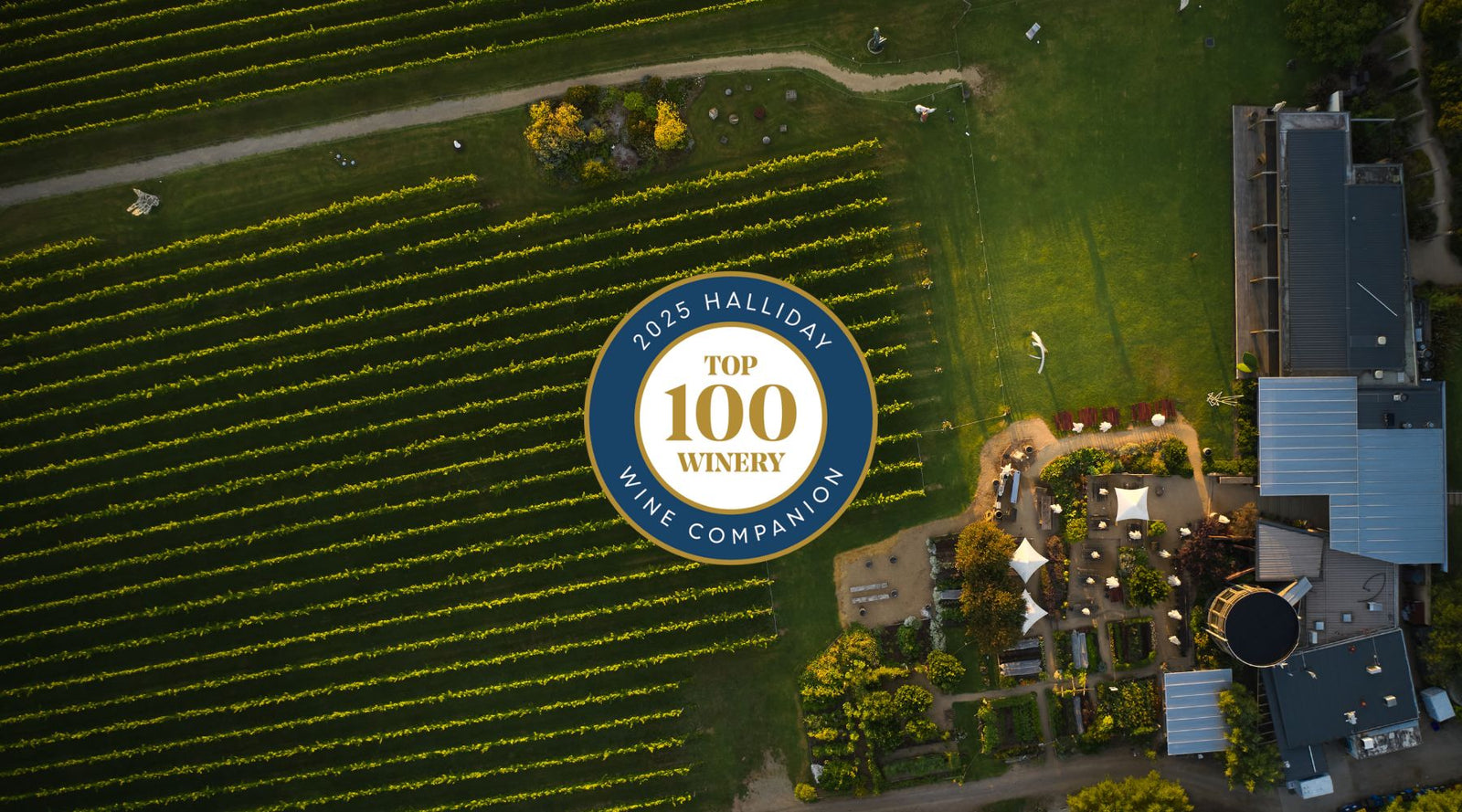 MONTALTO NAMED IN THE HALLIDAY WINE COMPANION TOP 100 WINERIES 2025
