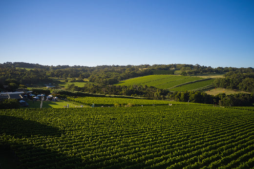 Montalto Gift Vouchers: The Perfect Present for Wine Lovers This Christmas