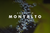 AUGUST AT MONTALTO 2025