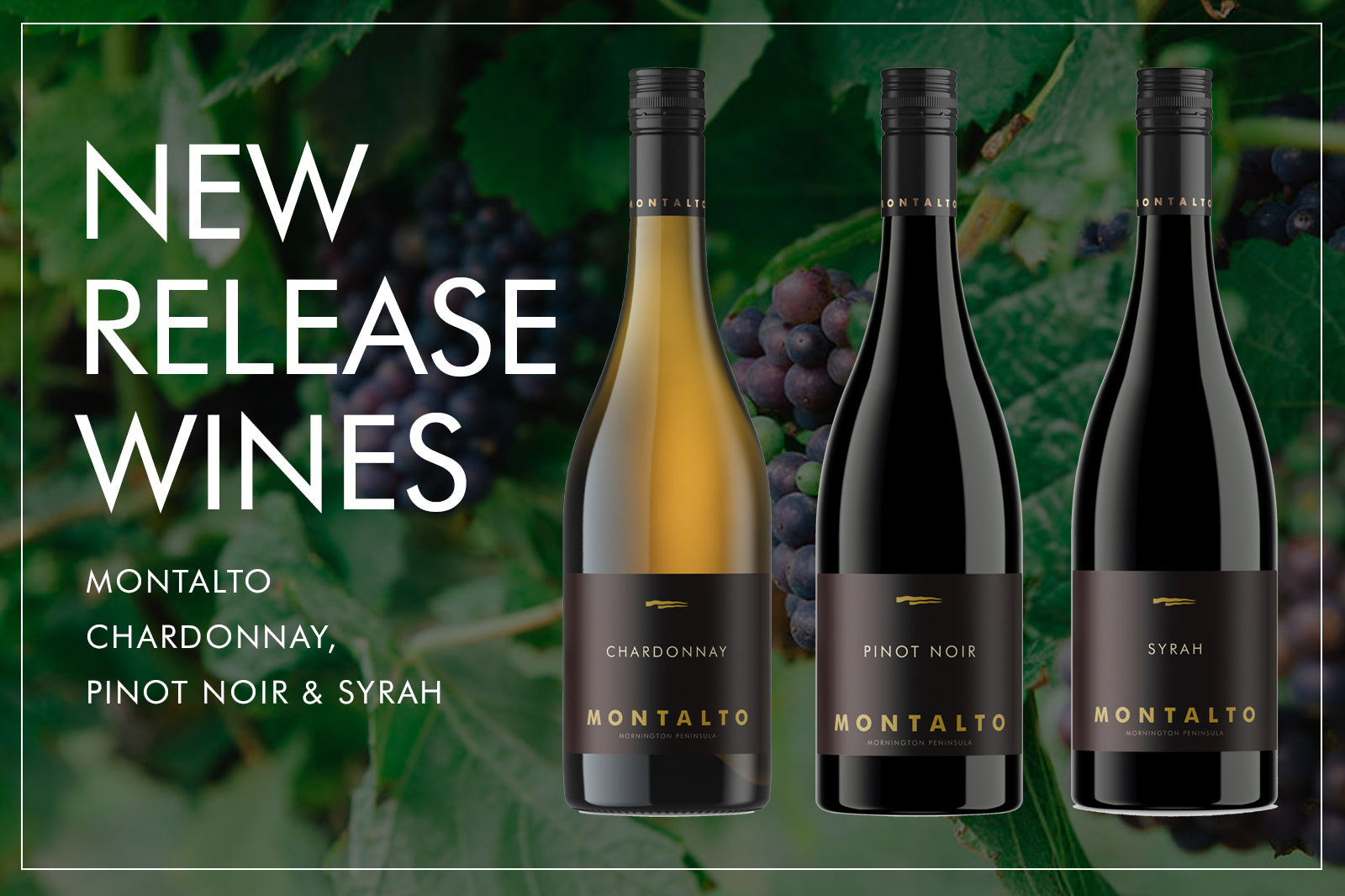 NEW RELEASE WINES - 2023 MONTALTO CHARDONNAY, PINOT NOIR & SYRAH