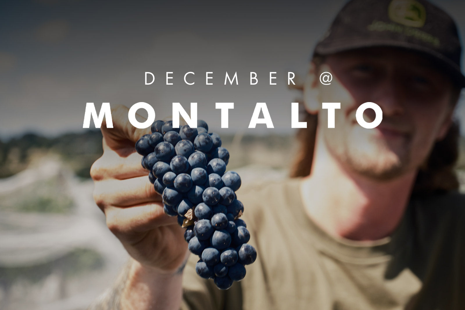 DECEMBER AT MONTALTO 2023