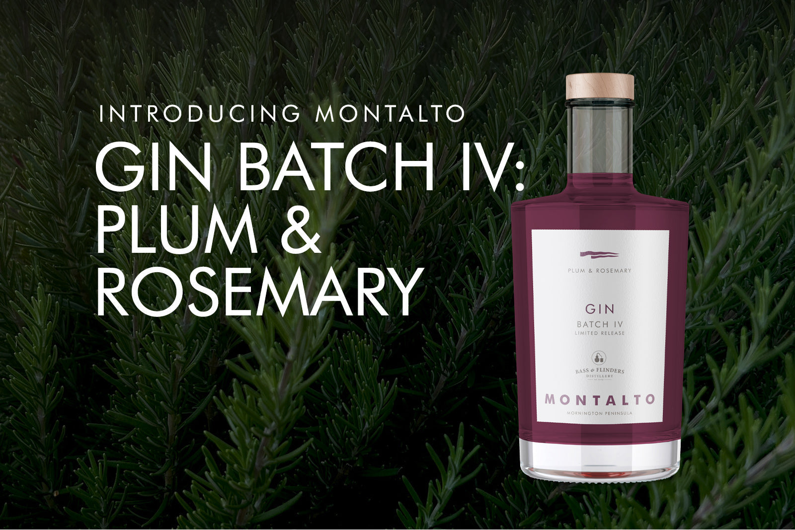 Introducing Montalto Gin Batch IV: Plum & Rosemary