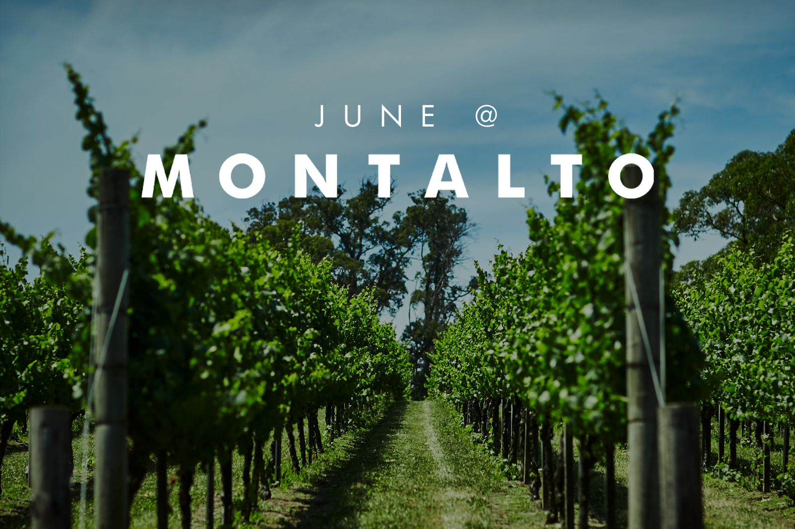 JUNE AT MONTALTO 2024