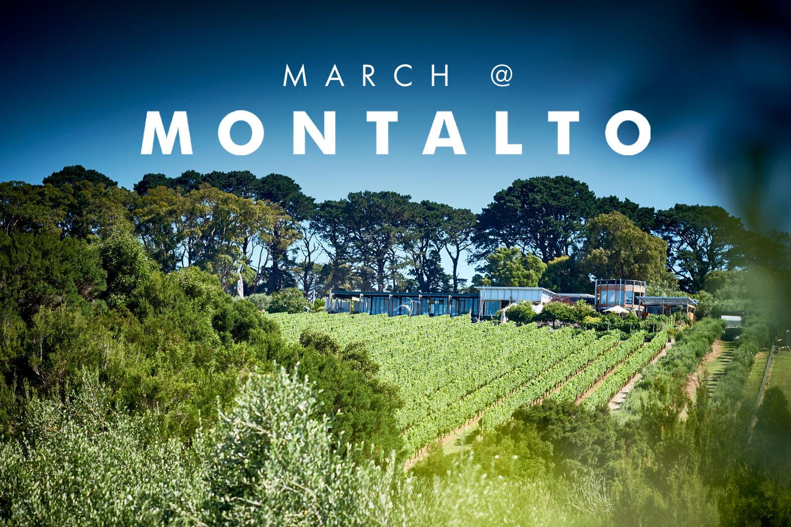 MARCH AT MONTALTO 2025