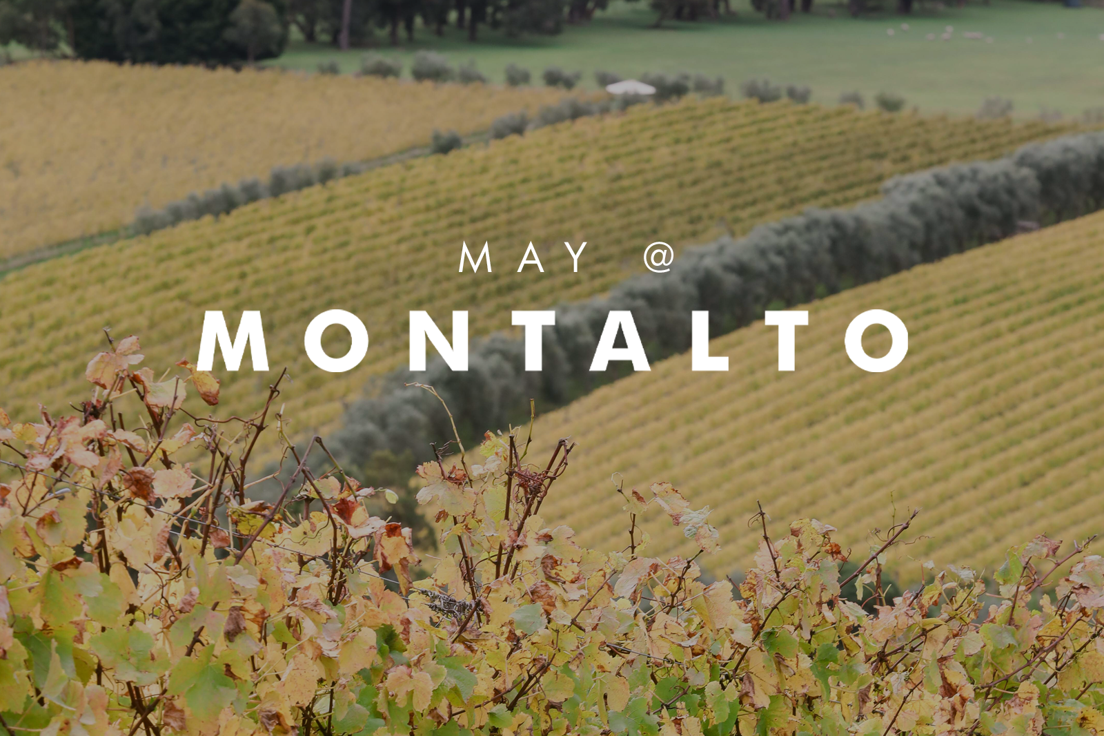 MAY AT MONTALTO 2024