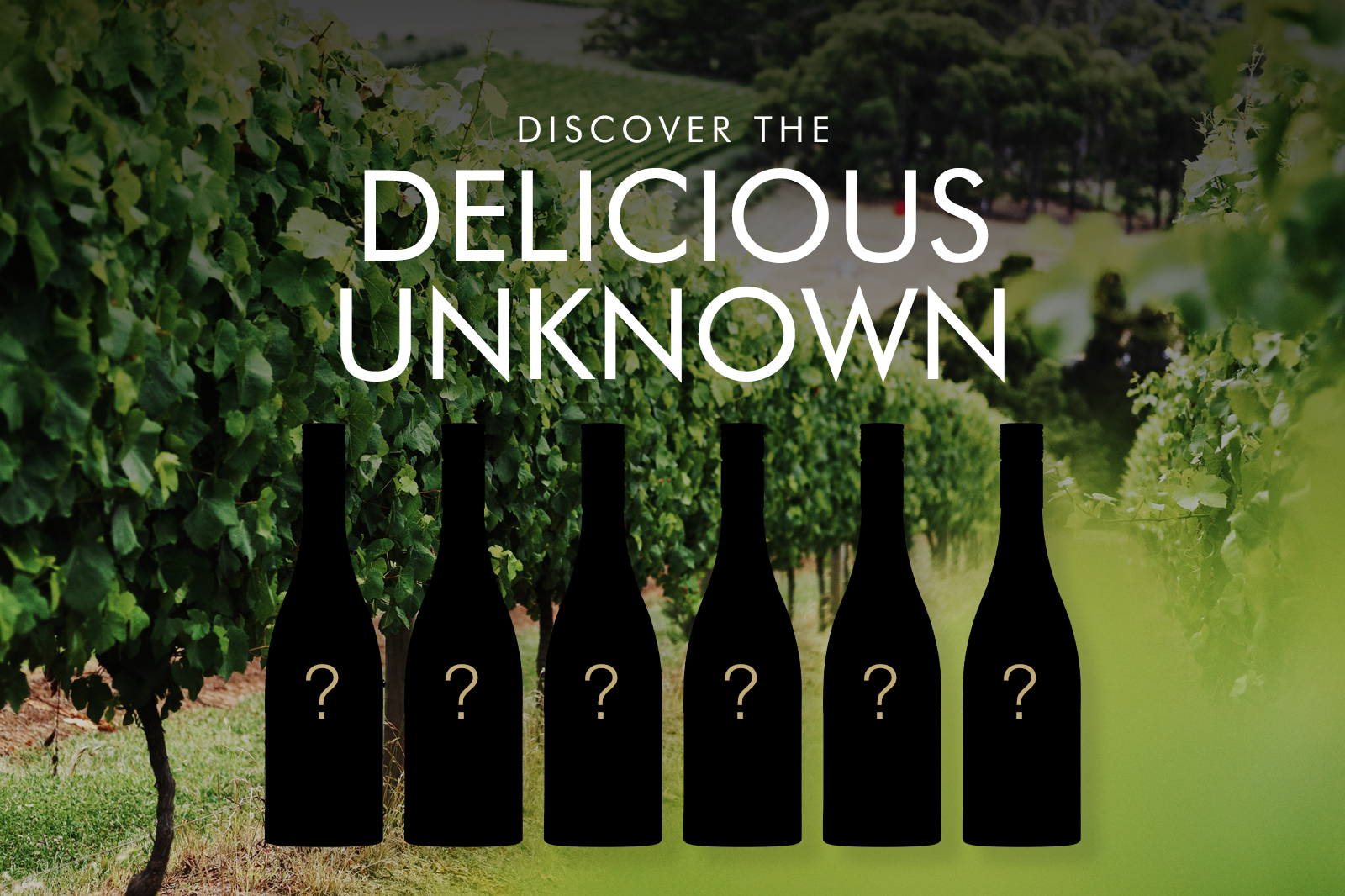 DISCOVER THE DELICIOUS UNKNOWN - MONTALTO’S MYSTERY PACKS ARE HERE