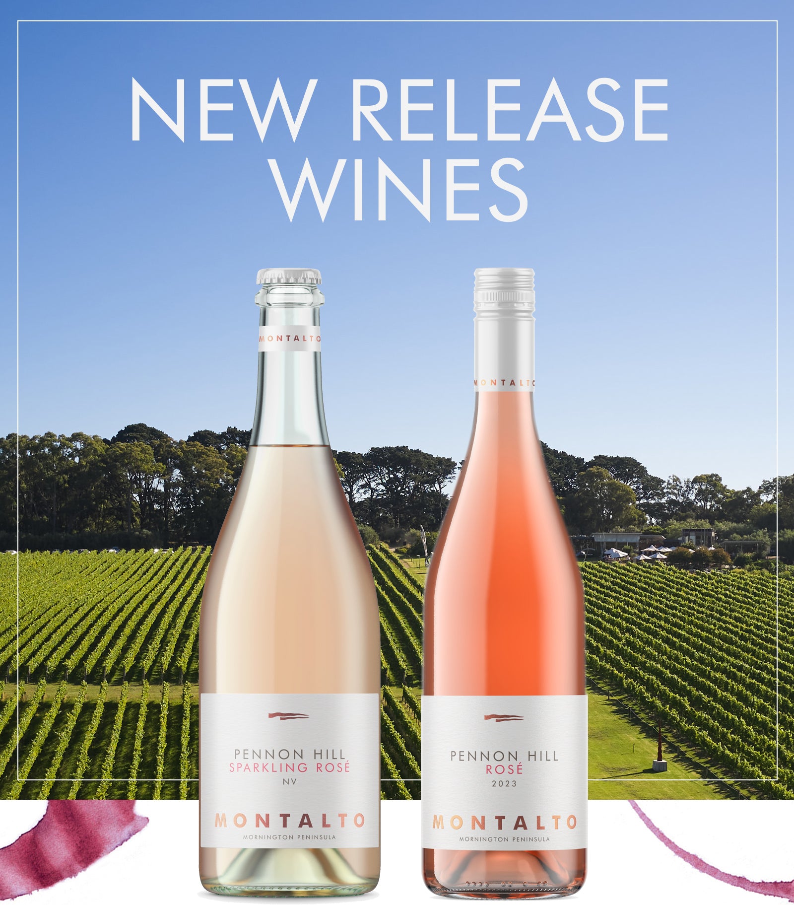 New Wine Release: NV Sparkling Rosé & 2023 Pennon Hill Rosé