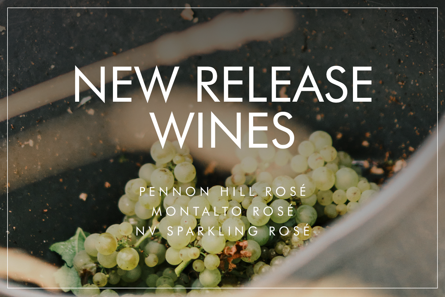 New Wine Release NV Sparkling Rosé & 2023 Pennon Hill Rosé