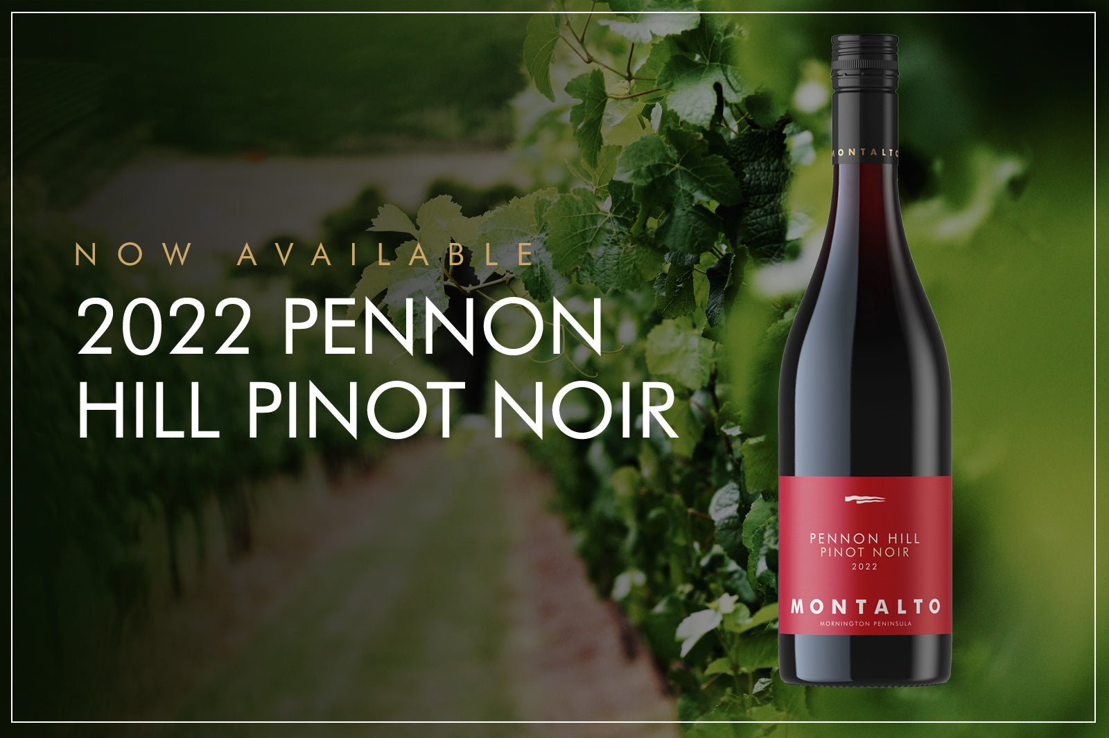2022 Pennon Hill Pinot Noir Awards