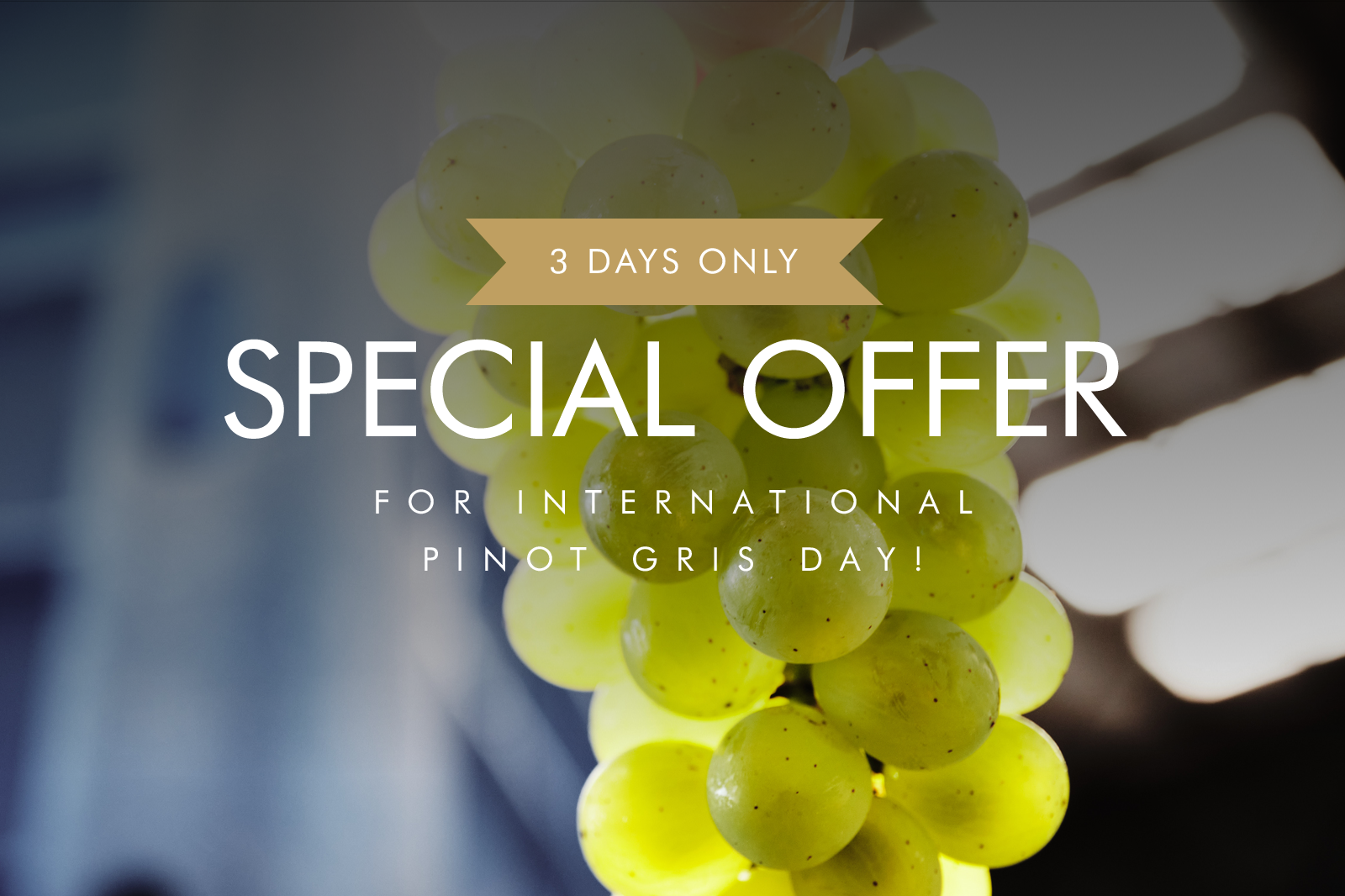 INTERNATIONAL PINOT GRIS DAY - FRIDAY 17TH MAY 2024