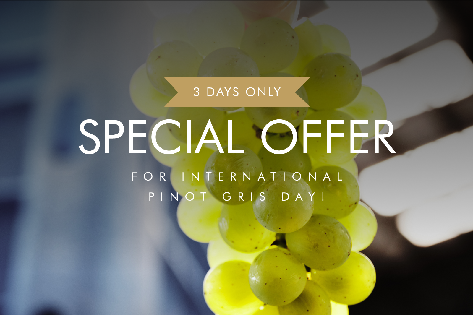International Pinot Gris Day - Friday 17th May 2024