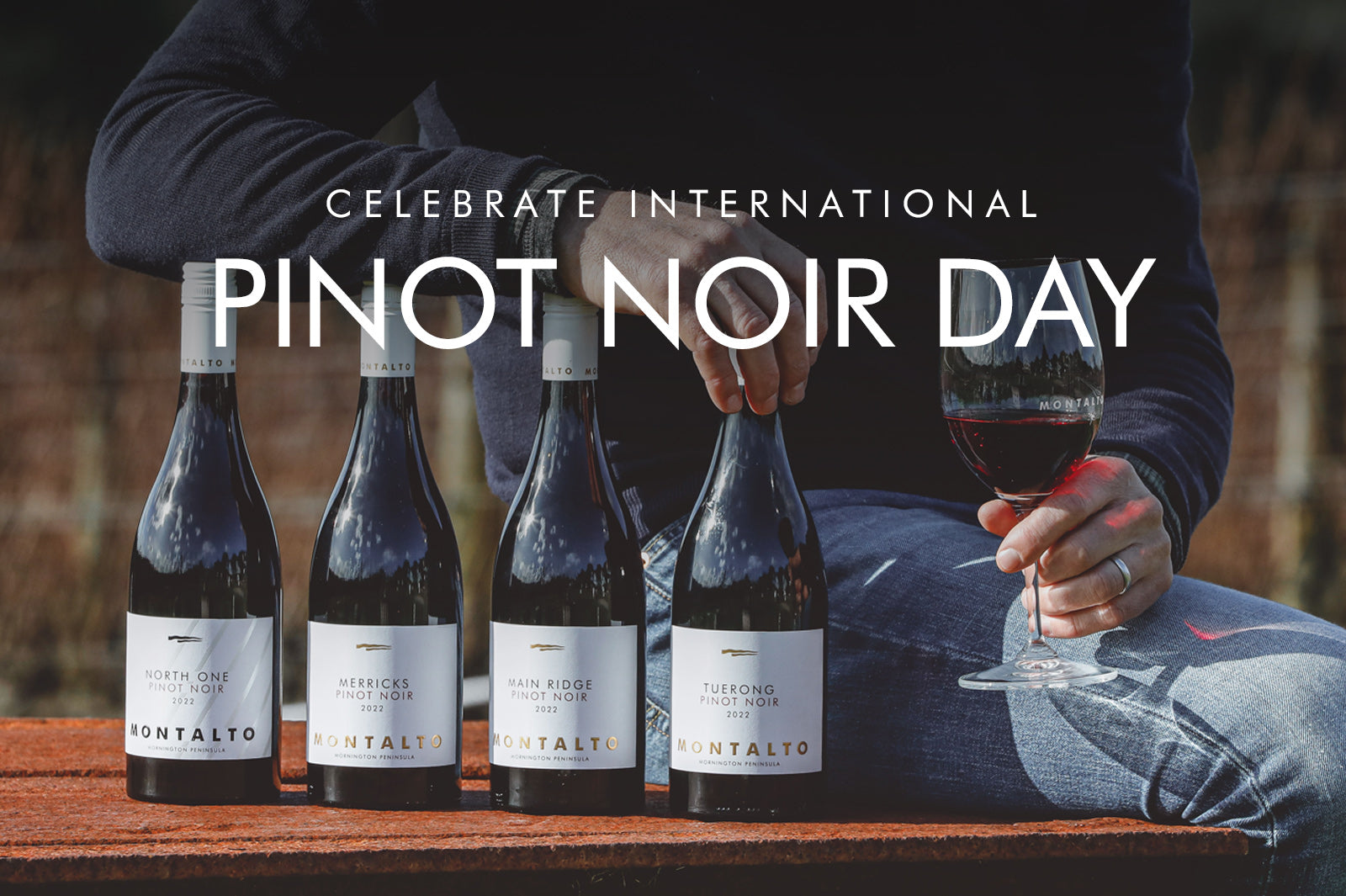 CELEBRATE INTERNATIONAL PINOT NOIR DAY AT MONTALTO
