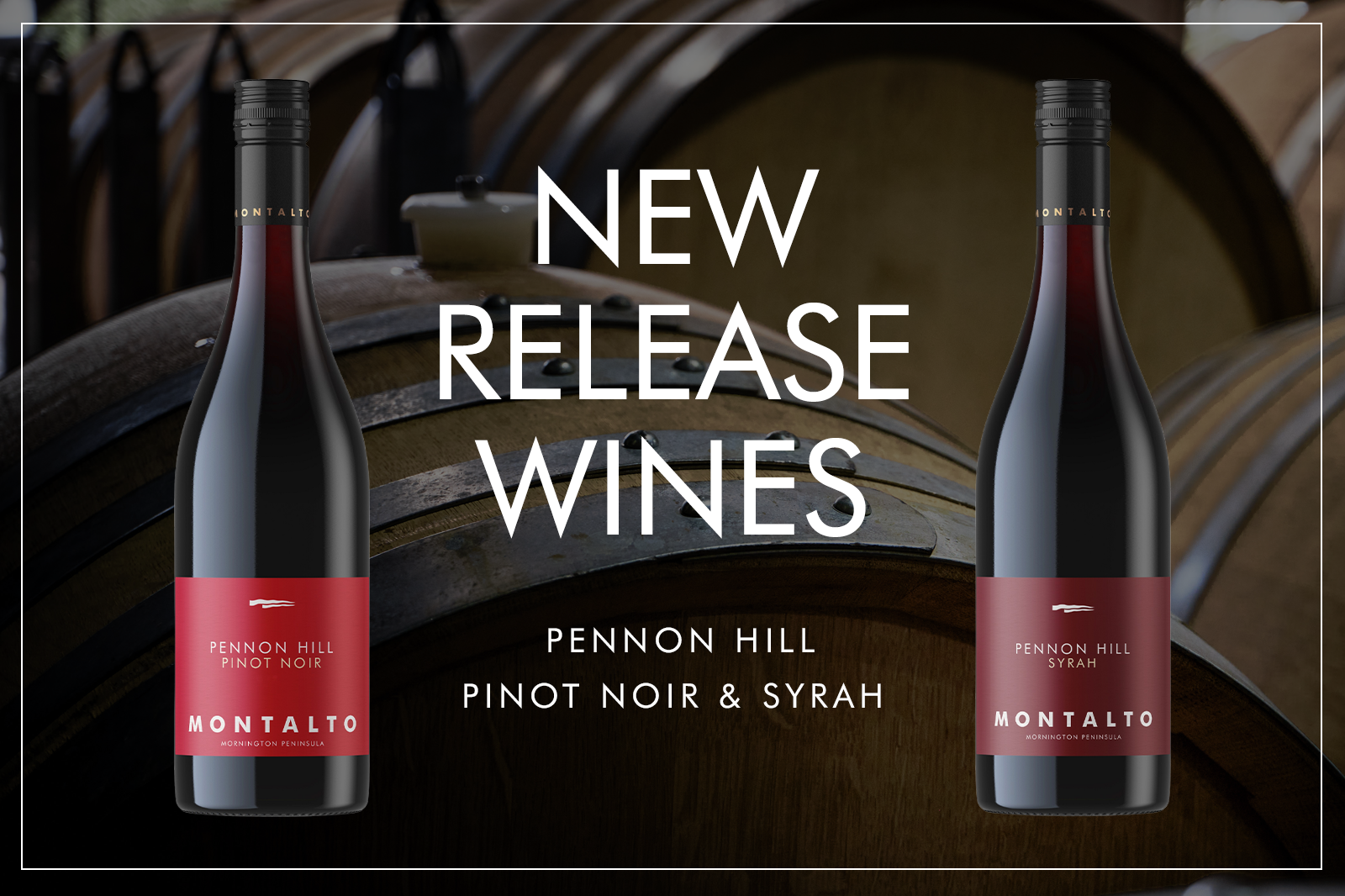 NEW RELEASE WINES - 2023 PENNON HILL PINOT NOIR & SYRAH