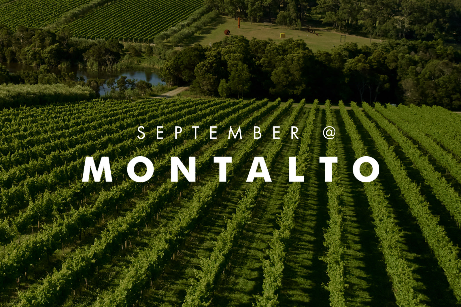 SEPTEMBER AT MONTALTO