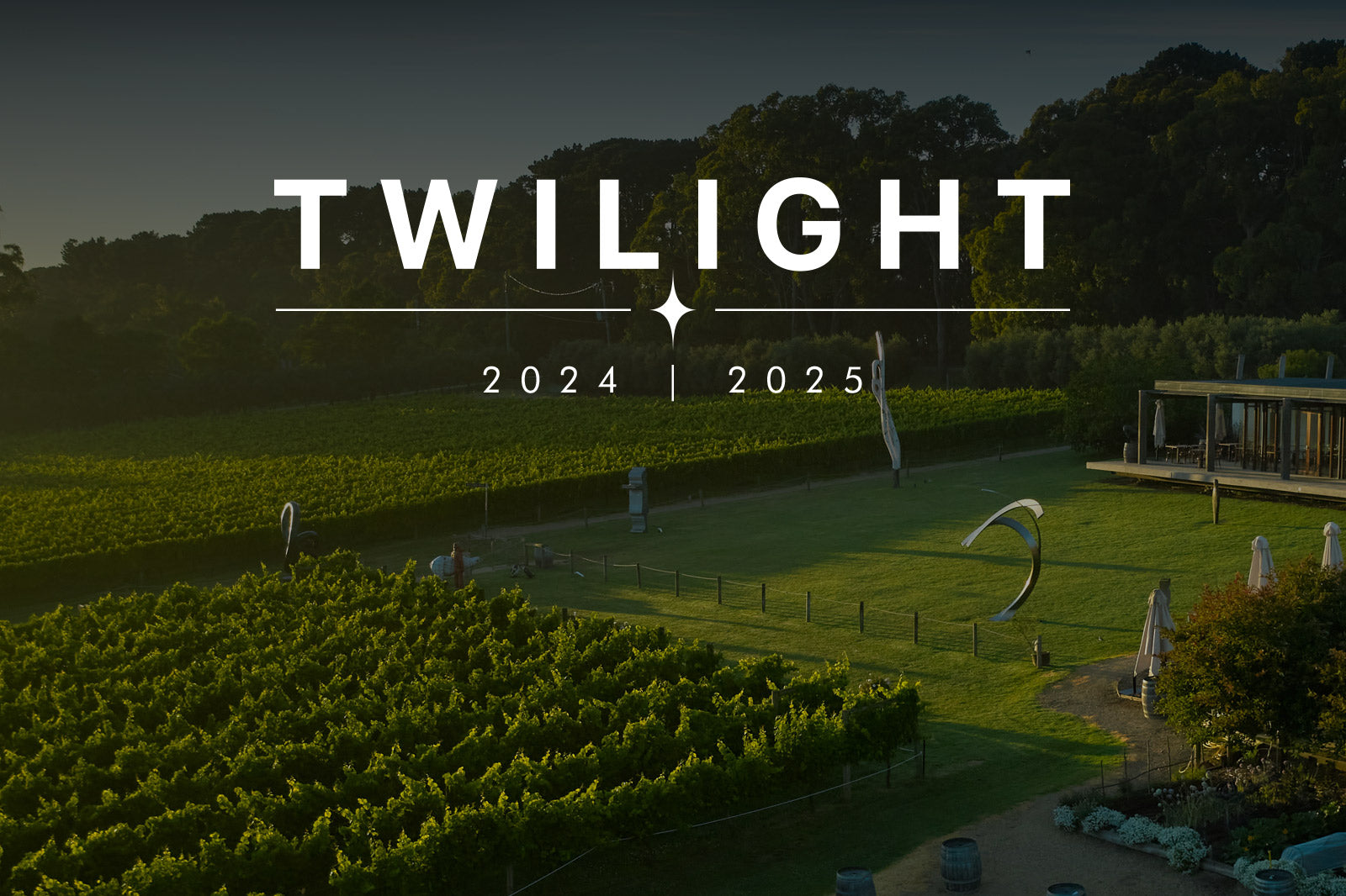 TWILIGHT 2024/2025