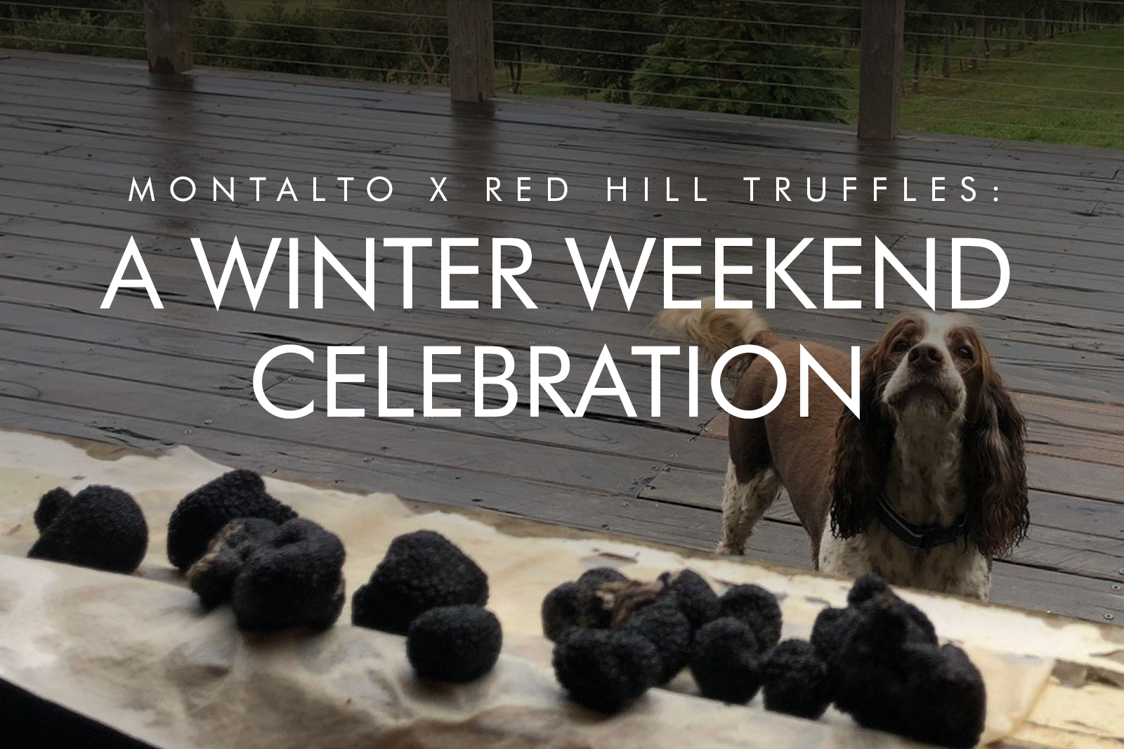 WINTER EVENT SERIES | Montalto x Red Hill Truffles