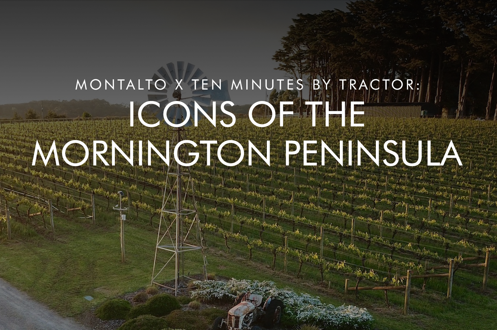 WINTER EVENT SERIES | Ten Minutes By Tractor: Icons of the Mornington Peninsula