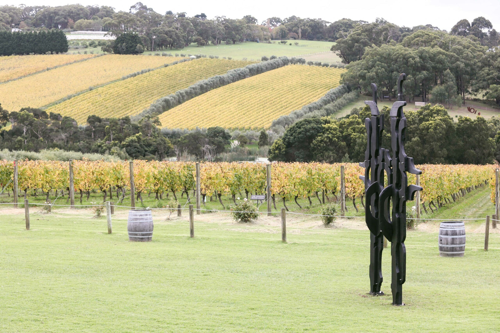 Holding Ground x Montalto