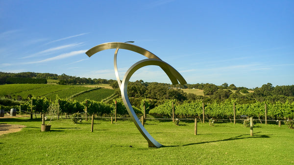 Discover Our Vineyard - Montalto Winery