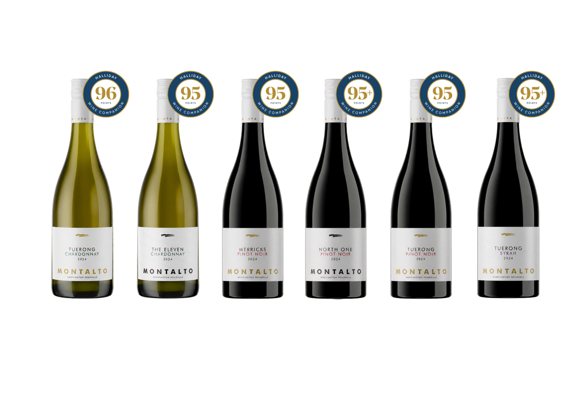Halliday Celebration 6-pack