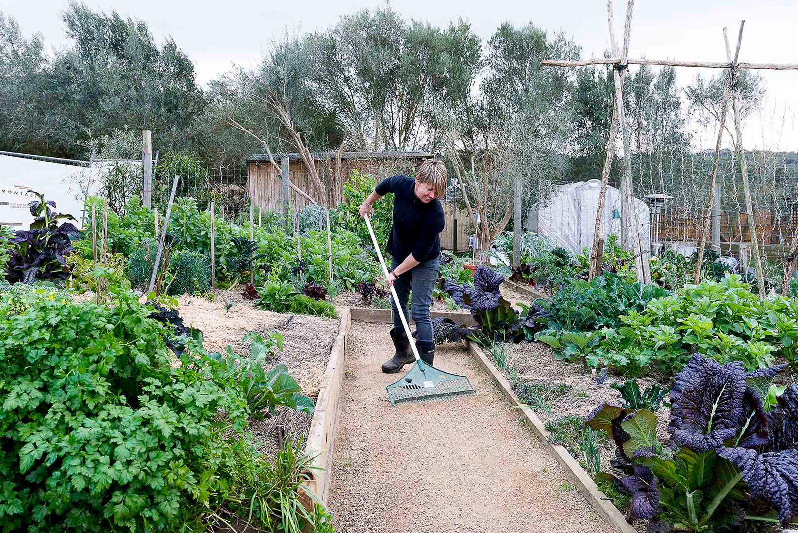 About my Kitchen Garden  Lopez Island Kitchen Gardens