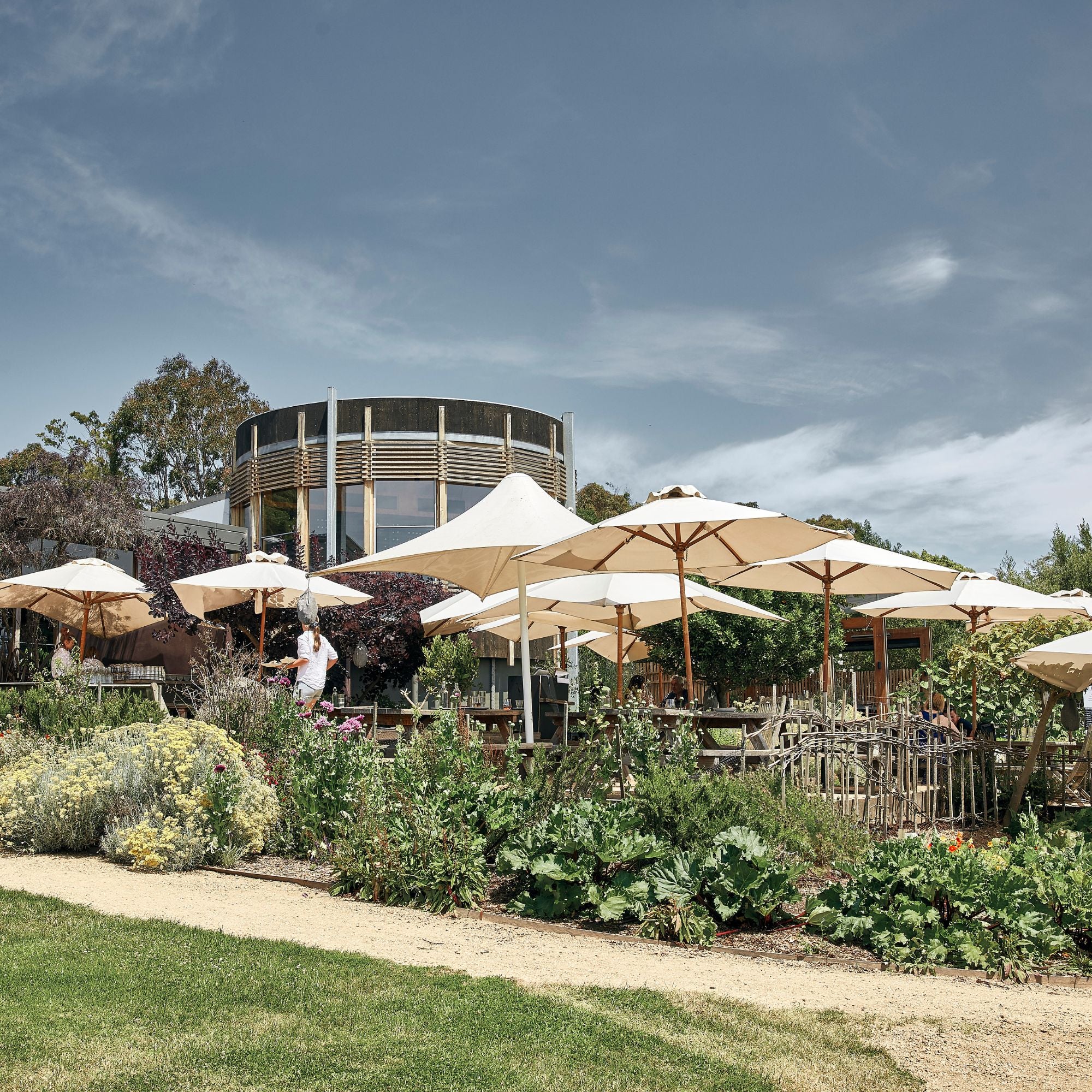 Visit Our Vineyard Montalto Winery